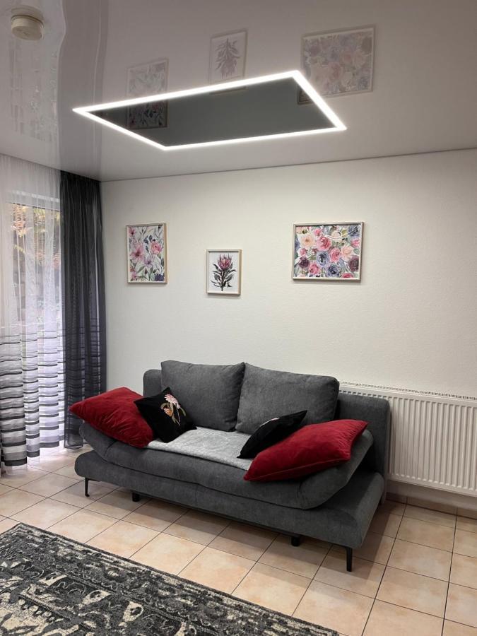 A&D Charmantes Apartment - Buehlertal Bei Buehl, Baden-Baden & Schwarzwald Екстериор снимка